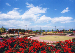 大野町バラ公園