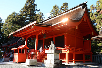 日吉神社本殿の写真