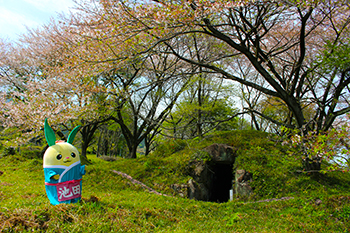 願成寺古墳群の写真