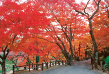 養老公園・養老の滝