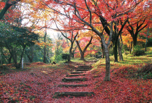 霞間ヶ渓公園