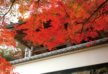 円興寺