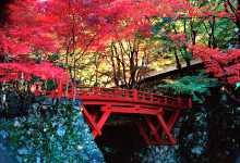 治水神社