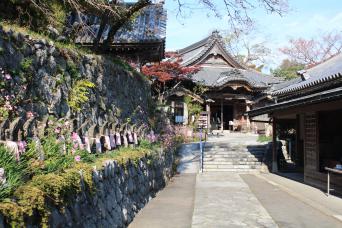 金生山明星輪寺