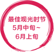 見ごろ5月中旬〜6月上旬