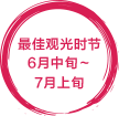 見ごろ6月中旬〜7月上旬