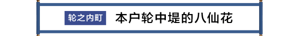 輪之内町 本戸輪中堤のあじさい