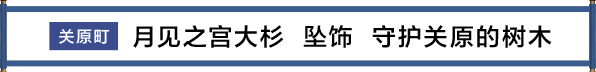 関ケ原町 月見の宮大杉 根付 関ケ原を見守っていた木　