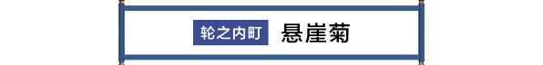 輪之内町 けんがい菊