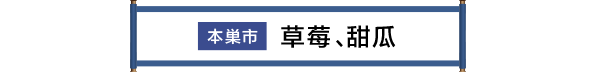 本巣市 いちご・まくわうり