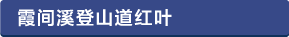 霞間ヶ渓登山道紅葉