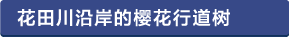 花田川沿いの桜並木