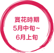 見ごろ5月中旬〜6月上旬