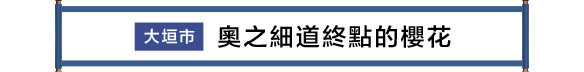 大垣市 奥の細道むすびの地の桜