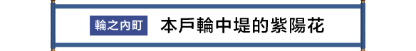 輪之内町 本戸輪中堤のあじさい