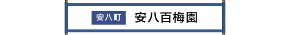 安八市 安八百梅園