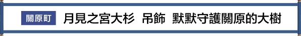 関ケ原町 月見の宮大杉 根付 関ケ原を見守っていた木　