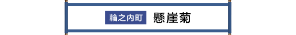 輪之内町 けんがい菊