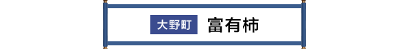 大野町 富有柿