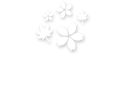 ぎふ西美濃の花