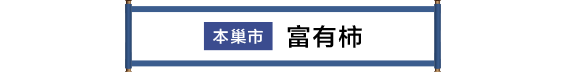 本巣市 富有柿