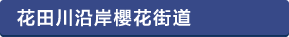 花田川沿いの桜並木