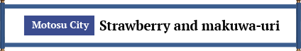本巣市 いちご・まくわうり