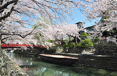 奥の細道むすびの地の桜の写真