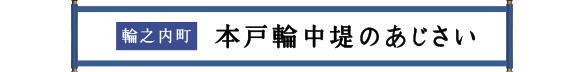 輪之内町 本戸輪中堤のあじさい