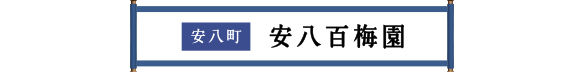 安八市 安八百梅園