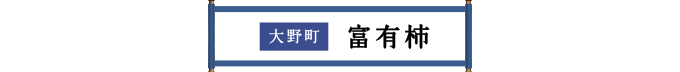 大野町 富有柿