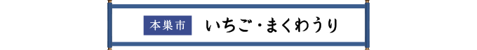 本巣市 いちご・まくわうり