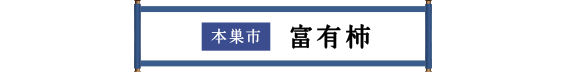 本巣市 富有柿