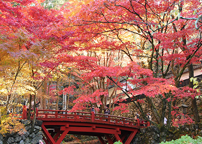両界山横蔵寺の写真