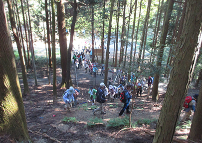 大津谷登山道の写真