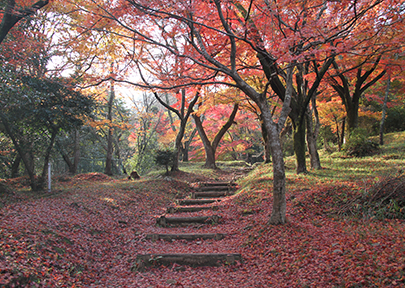 霞間ヶ渓登山道紅葉の写真