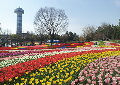 木曽三川公園センターの写真