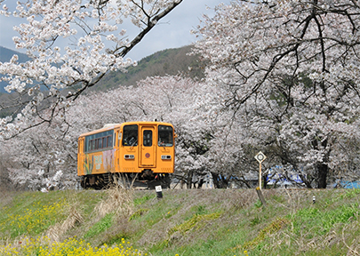 樽見鉄道の写真