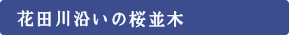 花田川沿いの桜並木