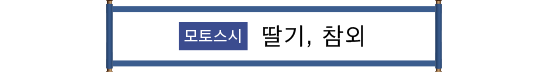 本巣市 いちご・まくわうり