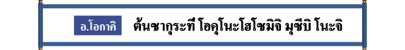 อ.โอกาคิ    ต้นซากุระที่ โอคุโนะโฮโซมิจิ มุซึบิ โนะจิ