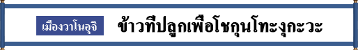 เมืองวาโนอุจิ  ข้าวที่ปลูกเพื่อโชกุนโทะงุกะวะ