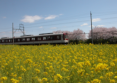 รถไฟโยโร