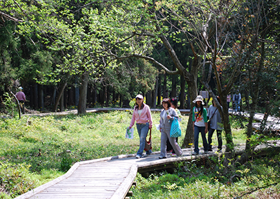 เส้นทางเดินป่า  คิสึนะโนะโมริ (ป่าไม้คิสึนะ)