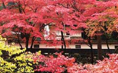 両界山横蔵寺