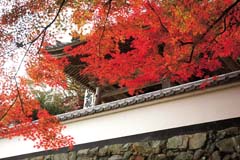 円興寺