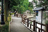 水門川遊歩道「四季の路」
