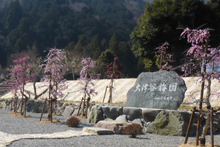 池田町