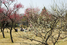 大垣市東公園