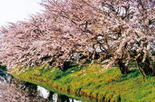 輪中堤(輪之内町)